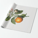 Search for orange blossom wrapping paper Floral