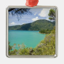 Search for new zealand ornaments Island