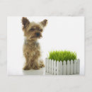 Search for neighbours postcards Green