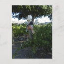 Search for scarecrow postcards Halloween