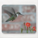 Search for glories mousepads Nature