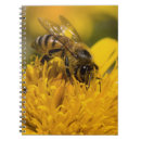 Search for sacs Daisy