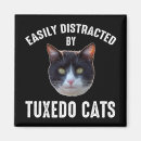 Search for distraction magnets Cute