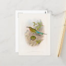 Search for bee illustration postcards Birds