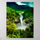 Recherche de amazonien posters Forêt tropicale