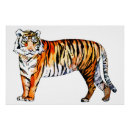 Recherche de gros chat posters Illustration