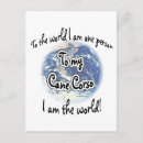 Recherche de cane corso cartes postales Canne