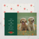 Search for pet photo christmas cards Nice list