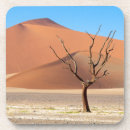 Search for dead tree Dune