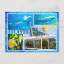 Search for beluga postcards Aquarium