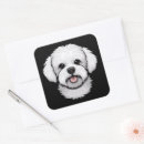 Search for bichon frise stickers Pets