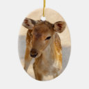 Search for fawn deer ornaments Wildlife