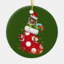 Search for pekingese ornaments Xmas