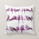 Search for budgie bird Parrot