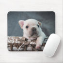 Recherche de french bulldog tapis souris Pet