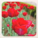 Search for bulb coasters Garden