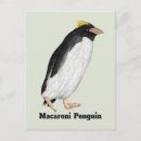 Search for macaroni postcards Bird