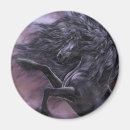 Recherche de étalon noir magnets Équin