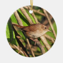 Search for wren ornaments Wildlife