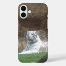 Search for bengal cat iphone cases White tiger