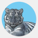 Recherche de petits animaux de tigre Tigres