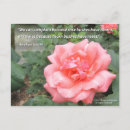 Search for optimist postcards Quote