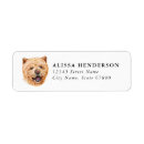 Search for chow return address labels Cute