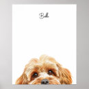 Recherche de cockapoo art Amoureux des chiens