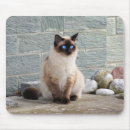 Recherche de poussette tapis souris Animal