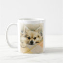 Search for fluffy mugs Pomeranian