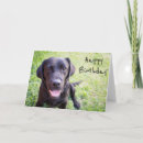 Search for black labrador birthday cards Cute