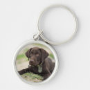 Search for chocolate coloured keychains Cute