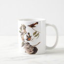 Search for bird nest mugs nature