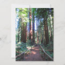 Search for redwood invitations Nature