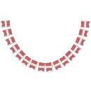 Search for bbq bunting flags Gingham