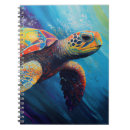 Search for turtle notebooks Ocean