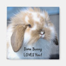 Recherche de certains magnets Animal