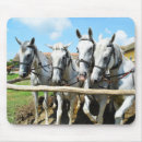 Search for horse kid electronics Children