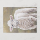Recherche de agneau pâques cartes postales Animal