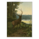 Search for hunting lodge postcards Deer