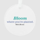 Search for plant ornaments Gardener