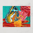Search for butterfly postcards Rainbow