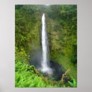 Search for akaka falls Tropical