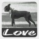 Recherche de boston terrier dog stickers Chiot