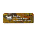 Search for pond return address labels Photography