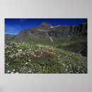 Recherche de alpes suisses posters Ciel