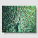 Search for peacock guest books Peafowl