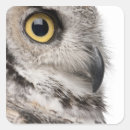 Search for horned owl stickers Birds