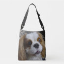 Search for blenheim bags Cavalier king charles spaniel