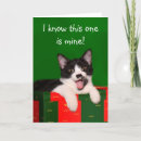 Search for tuxedo cat christmas cards Kitty